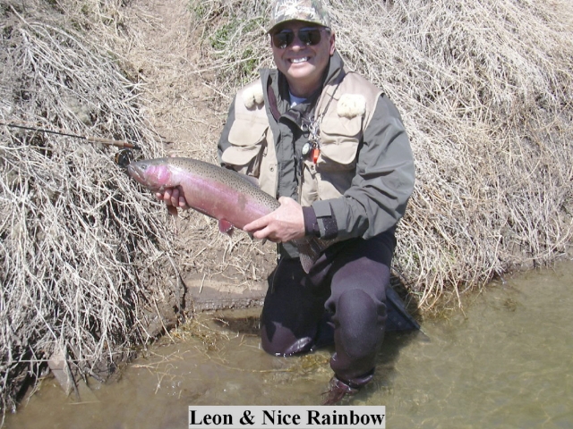 Dr. Leon Pommer, DVM, at Grey Reef treating a rainbow trout...